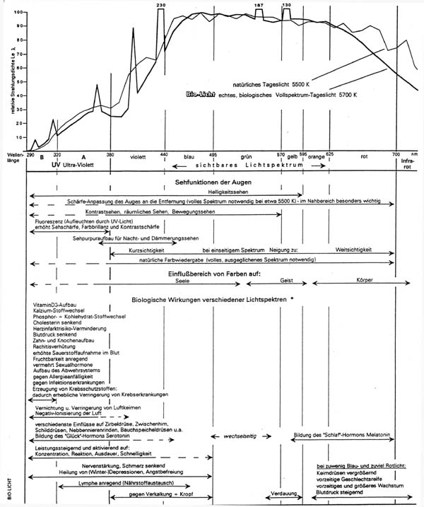 Diagramm zur Darstellung des Lichteinflusses